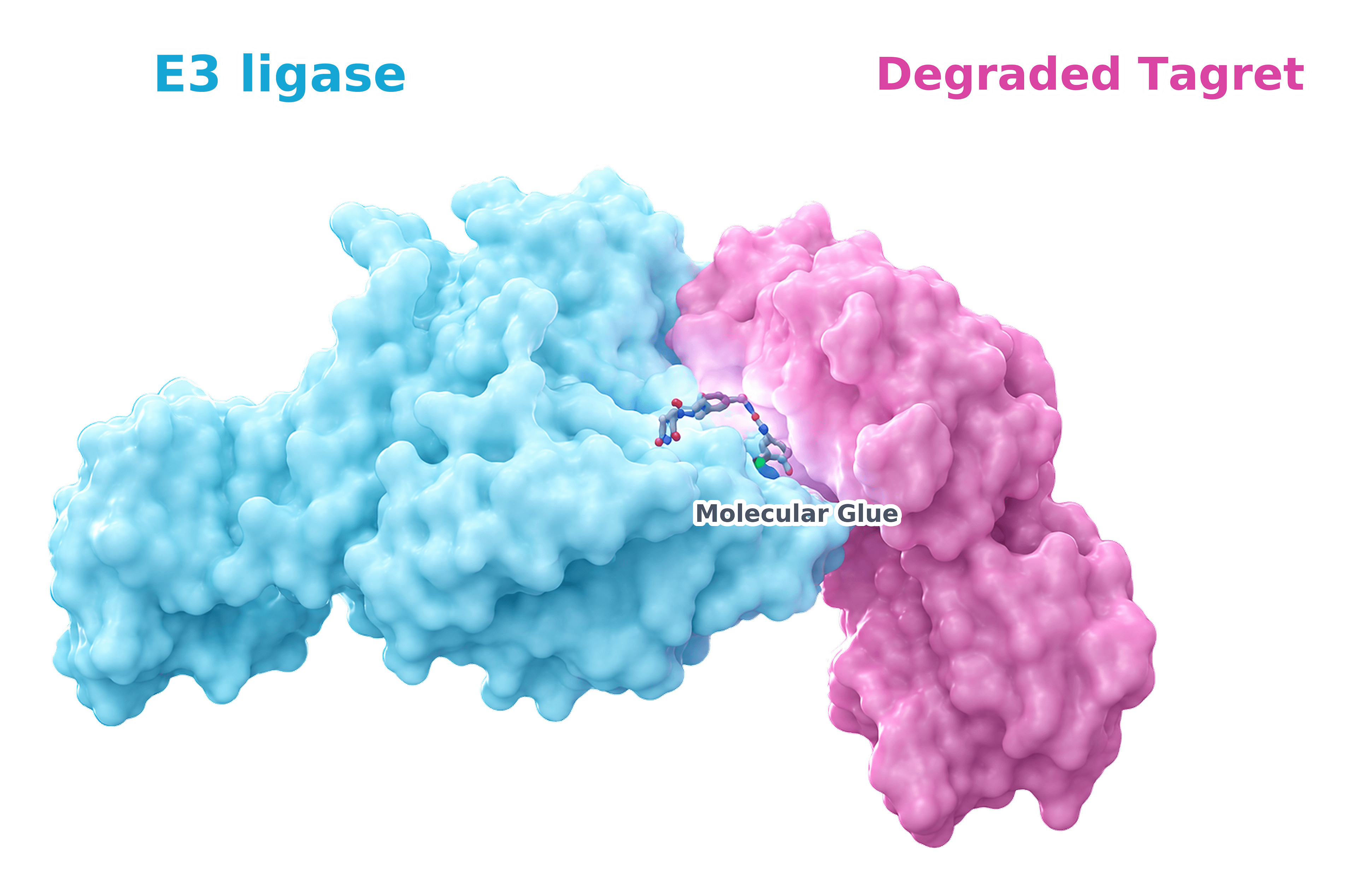 Molecular glue induced ternary complex